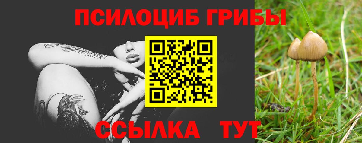 Псилоцибиновые грибы ЛСД Сланцы