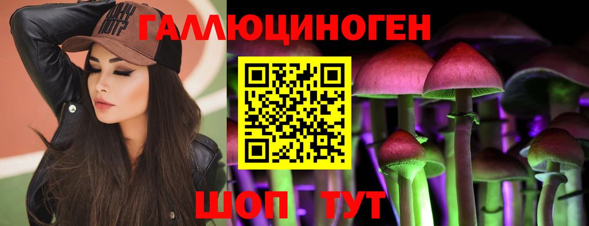 Сланцы  Псилоцибиновые грибы Cubensis  Вход с VPN  Галлюциногенные грибы Psilocybine cubensis 